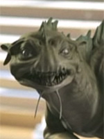 right sidebar image