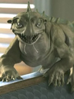 right sidebar image